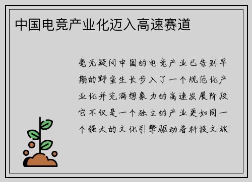中国电竞产业化迈入高速赛道